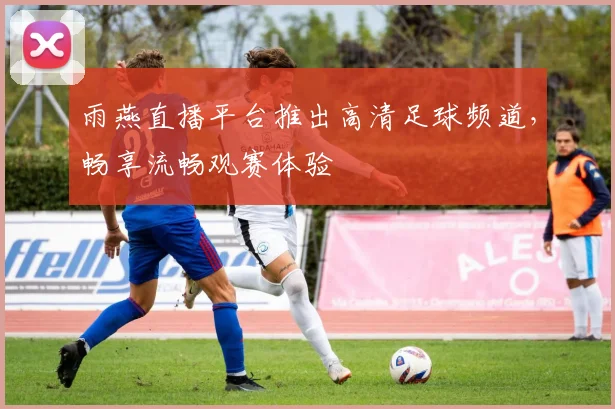 雨燕直播平台推出高清足球频道，畅享流畅观赛体验