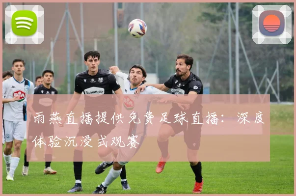 雨燕直播提供免费足球直播：深度体验沉浸式观赛