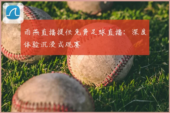 雨燕直播提供免费足球直播：深度体验沉浸式观赛