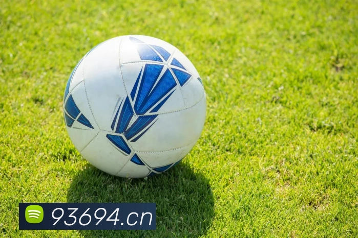 雨燕直播提供免费足球直播：深度体验沉浸式观赛